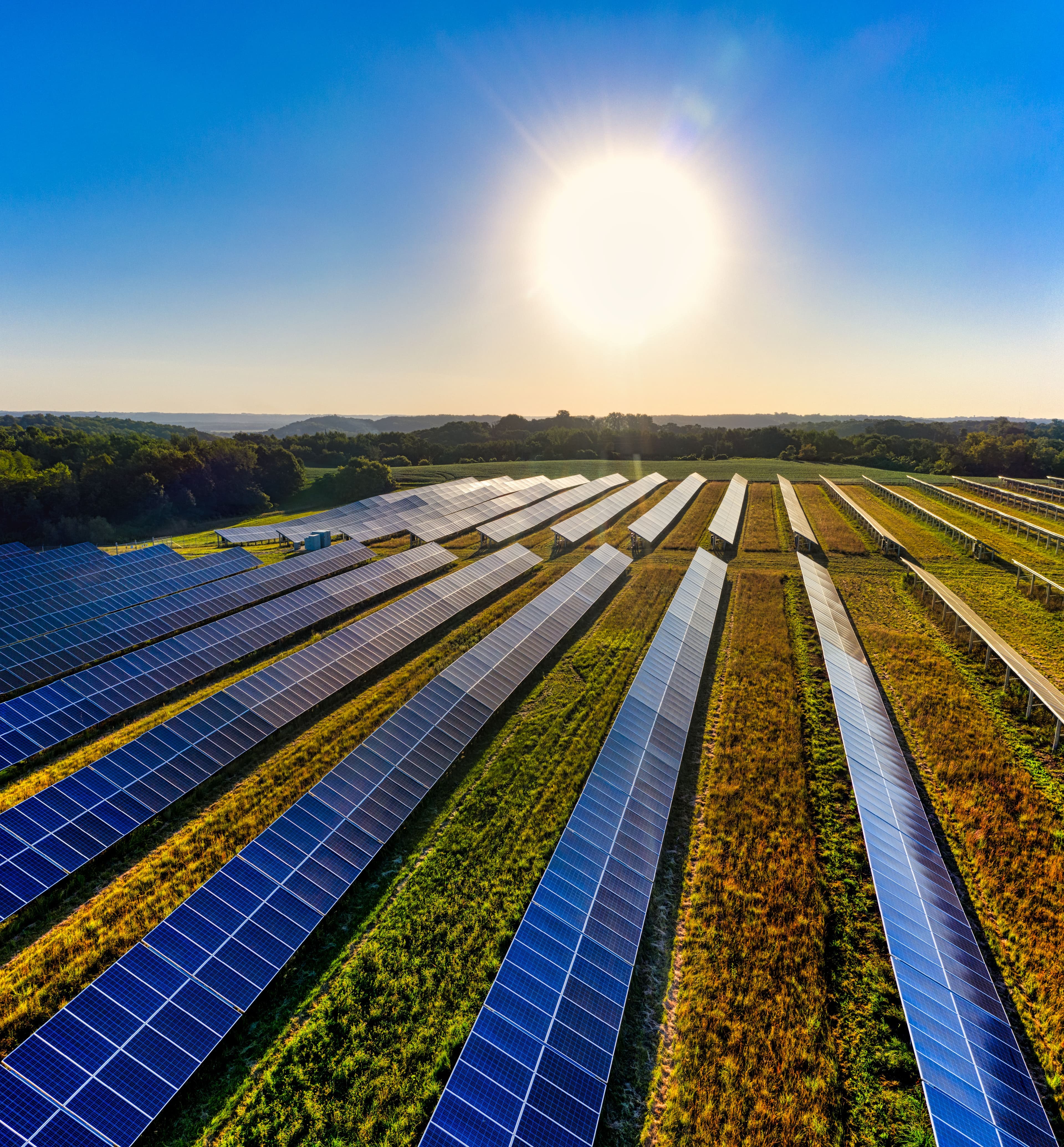 Florida solar site